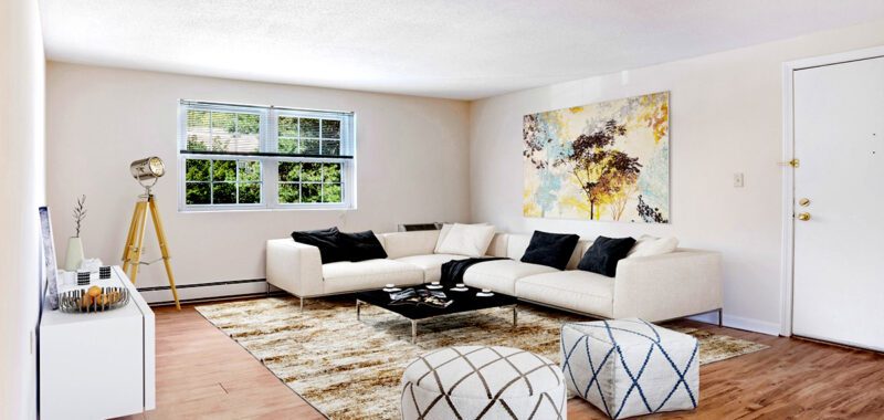 Modern Living Room Design with Natural Elements